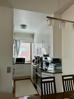 Charming condo in the downtown in Rovaniemi